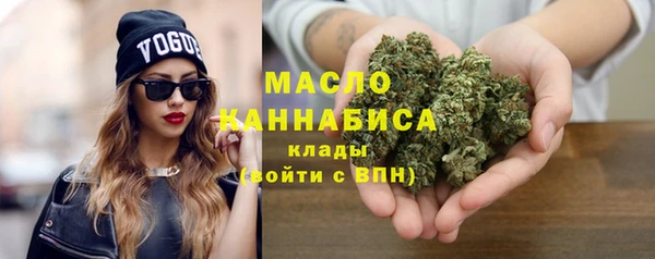 хмурый Новозыбков