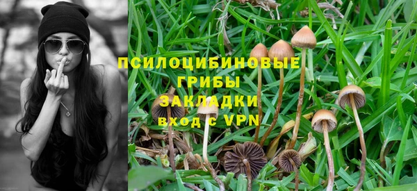 мяу мяу мука Нефтекумск