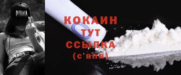 хмурый Новозыбков