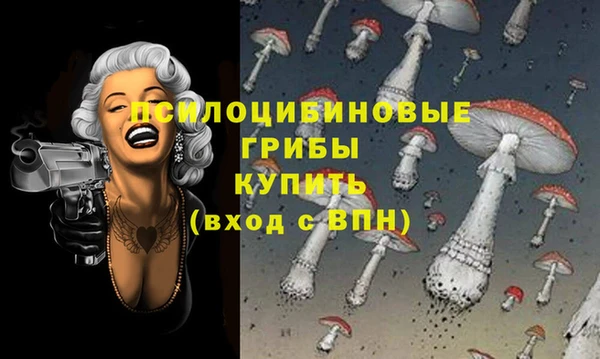 наркотики Новодвинск