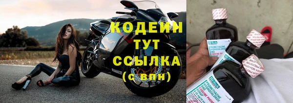 хмурый Новозыбков